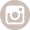 icon instagram